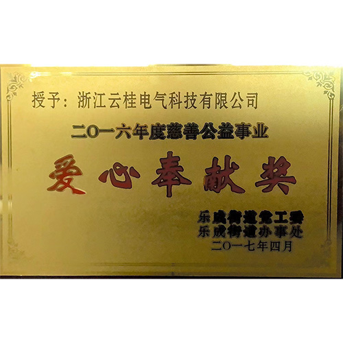 愛心奉獻(xiàn)獎(jiǎng)