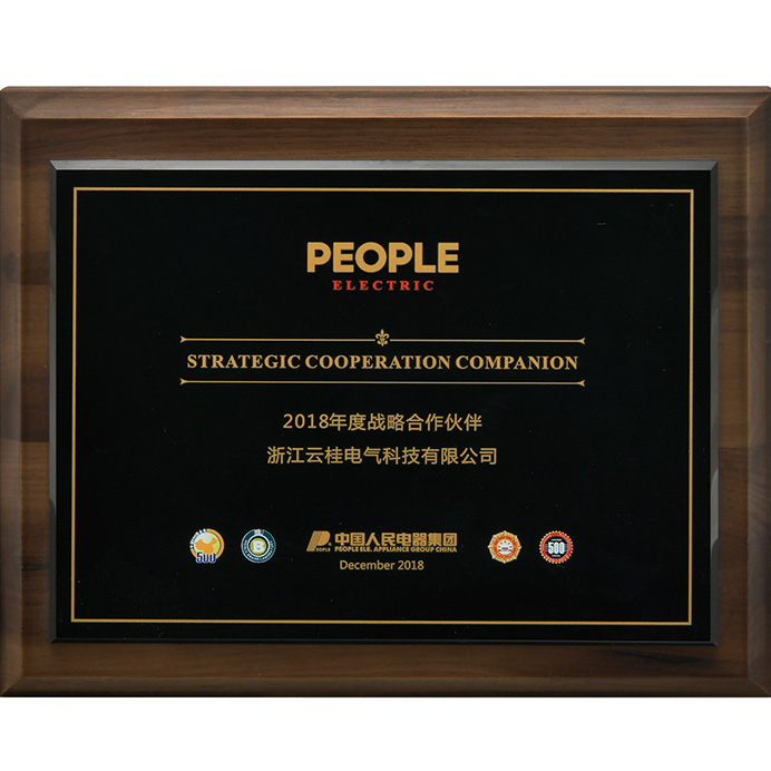 人民戰(zhàn)略合作伙伴