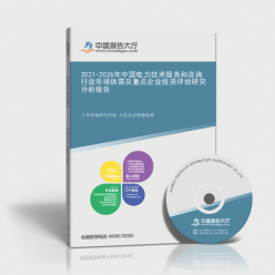 2021-2026年中國電力技術(shù)服務(wù)和咨詢行業(yè)市場供需及重點企業(yè)投資評估研究分析